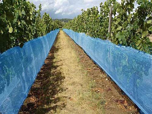 Weinbaunetz  VINEA 0,9 x 250 m